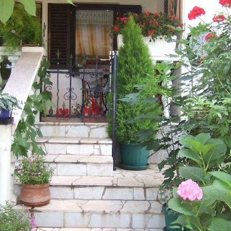 Villa Anita คราลเยวีจา ภายนอก รูปภาพ